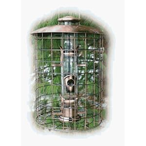 Copper Bird Feeder October 2010