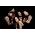 Thumbnail image of Agnostic Front