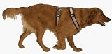Heavy Duty Reflective Nylon Dog Harness