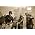 Vignette de 5 Finger Death Punch
