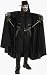 Adult's Deluxe V For Vendetta Halloween Costume (Size: Standard 44)