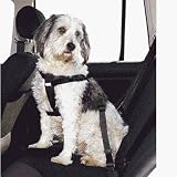 Eigenschaften Schecker  / DOGGURT Sicherheitsgurt, Standard, 50-70 cm