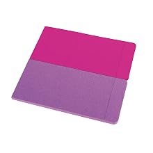 Avery Removable Label Pad, 2 x 4 Inches, Assorted Neon, 80 Labels (22021)