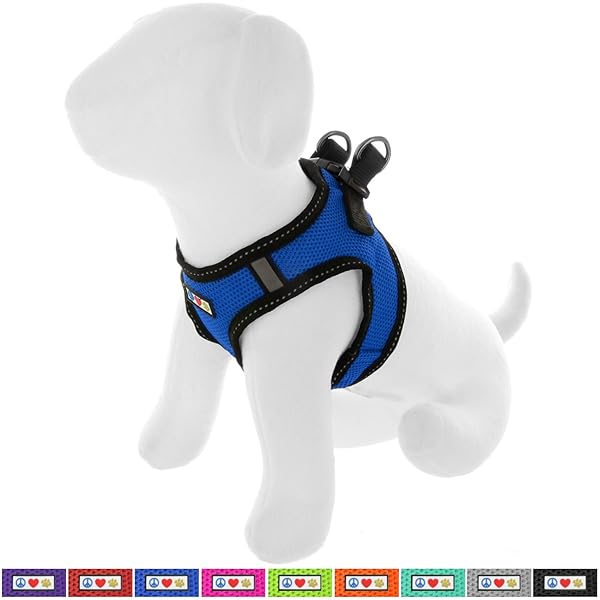 petlove harness