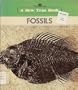 New True Books: Fossils