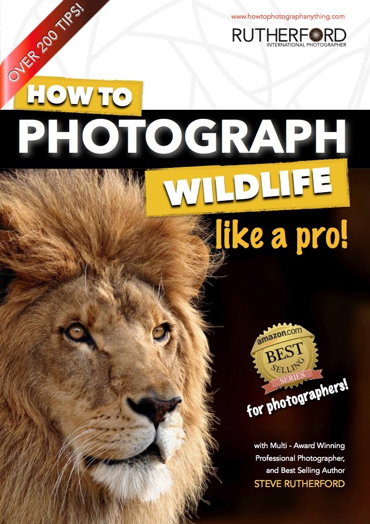 Amazon.com: How to Photograph Wildlife Like a Pro (How to ...