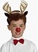 Kid's Reindeer Costume Set