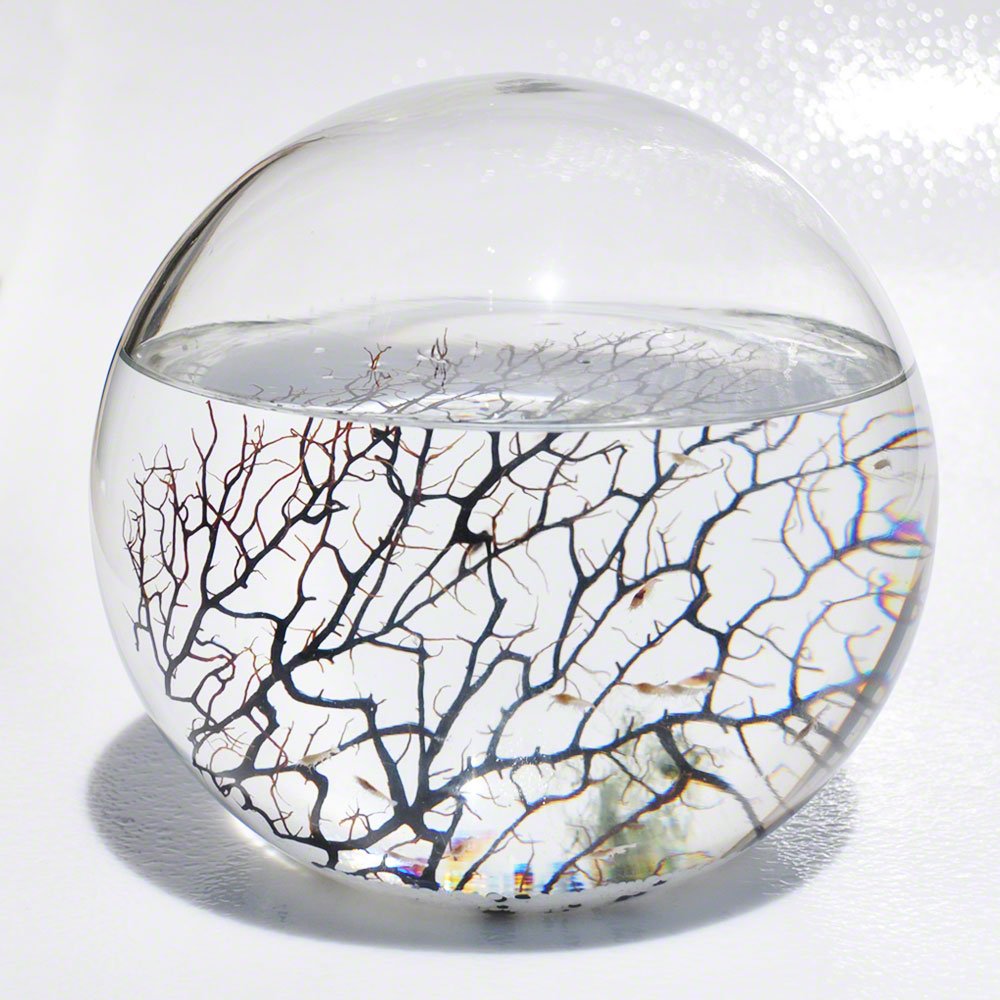 EcoSphere X-Large Sphere 9 x 9 x 9 inches