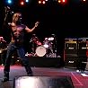 Image of Iggy & The Stooges