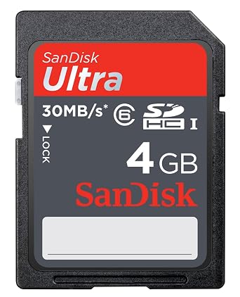 SanDisk Ultra 4 GB SDHC Class 6 Flash Memory Card 30MB/s SDSDH-004G-U46