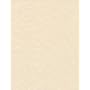 Natural Parchment Paper 50 Sheets