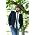 Thumbnail image of Toby Keith