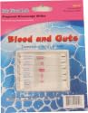 Blood & Guts Prepared Slide Mini Set