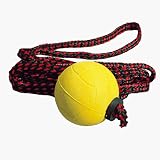 Eigenschaften Schecker  / Spiel Leine mit Ball, 2 m Ø 6cm