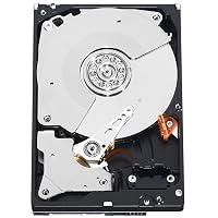 Western Digital Caviar Black 1 TB Bulk/OEM Hard Drive 3.5 Inch, 32 MB Cache, 7200 RPM SATA II WD1001FALS