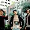 Image of The Cribs