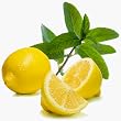 lemon mint tea