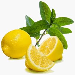 lemon mint tea