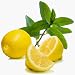 lemon mint tea