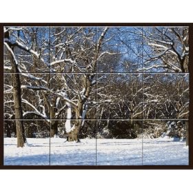 Snow Tile Mural