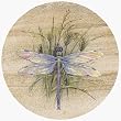 Thirstystone TS905 Natural Sandstone Coaster Set Dragonfly