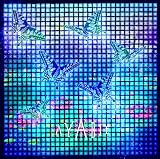 MAJOR DEBUT SINGLE 流星 【初回限定盤B】