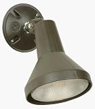 Single-Light Flood Light