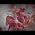 Video von Franz Zeller