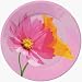 Creative Converting Spring Petals Wide Rim 8 Inch Lunch Plate - 96 Count