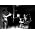 Thumbnail image of Dave Stapleton