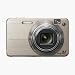 Sony Cybershot DSCW150/G 8.1MP Digital Camera with 5x Optical Zoom with Super Steady Shot (Gold)