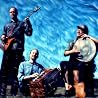 Image of Sean Johnson & the Wild Lotus Band