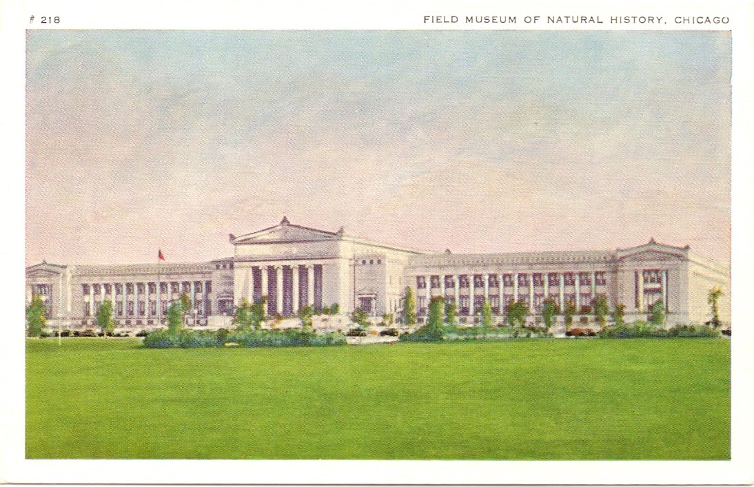 Amazon.com : 1950s Vintage Postcard - Field Museum of Natural ...