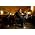 Vignette de Robert Randolph and the Family Band