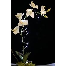 Fortune Products FFL-91W Fantasia Fairy 91 LED Light, 190" Length, White