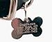 Stainless Steel Bone Dog ID Tag (Size=Large 1 1/2 in wide)