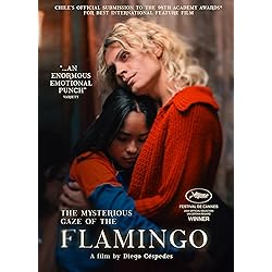 The Mysterious Gaze Of The Flamingo [DVD]