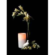 Fortune ProductsCL-P35 Wax Pillar Candle, 3" Diameter x 5" Height
