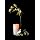 Fortune ProductsCL-P35 Wax Pillar Candle, 3" Diameter x 5" Height