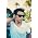Thumbnail image of Kris Allen