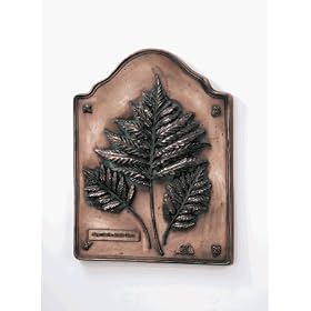 Hen-Feathers Fern Study by -
