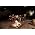 Thumbnail image of One Direction