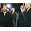 Vignette de The Mavericks