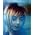 Thumbnail image of Nicola Hitchcock