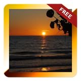 Caladesi Island State Park Guide