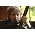 Thumbnail image of Doug Cox