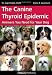 The Canine Thyroid Epidemic: Answers You Need for Your Dog