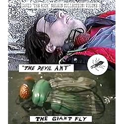 David "The Rock" Nelson Collection: Volume 2 [Blu-ray]