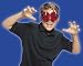Fire Ant Buzzerks Glasses