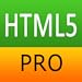 HTML5 Pro Quick Guide